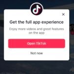 Excerpt 10.4, “See You Next Time”, of “Crazy God Mother II”